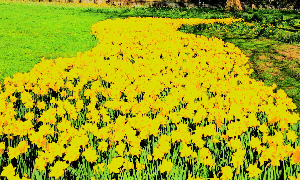Yellow River : Pam
